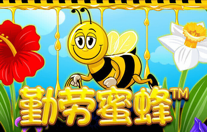 港澳宝典11133.cσm查询,澳门开奖